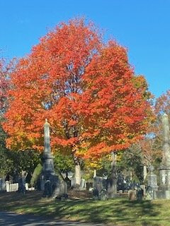 Laurel Hill Cemetery-萨考必去景点