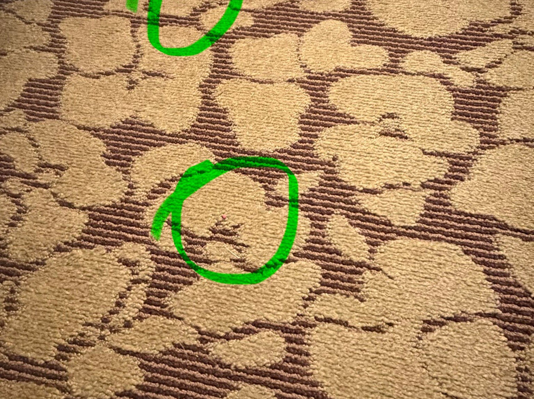 西门罗希尔顿花园酒店主图