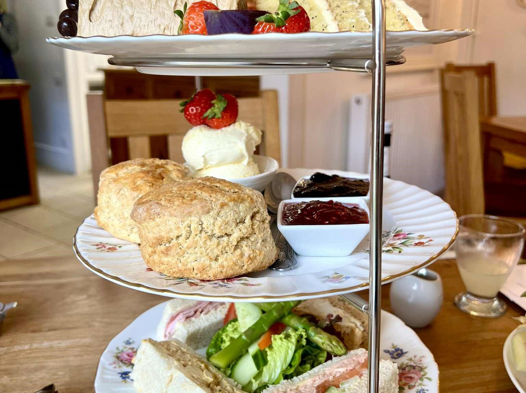 Unique Devon Tours-牛顿阿伯里必去景点