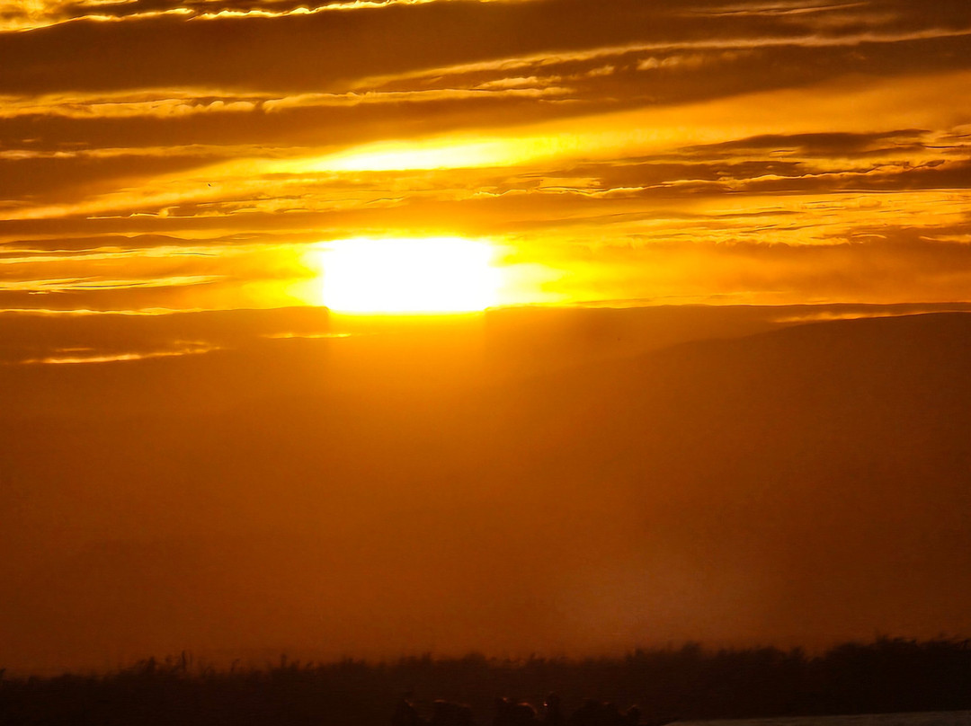 Embarcadero "El Tío Pastilla"-El Palmar必去景点