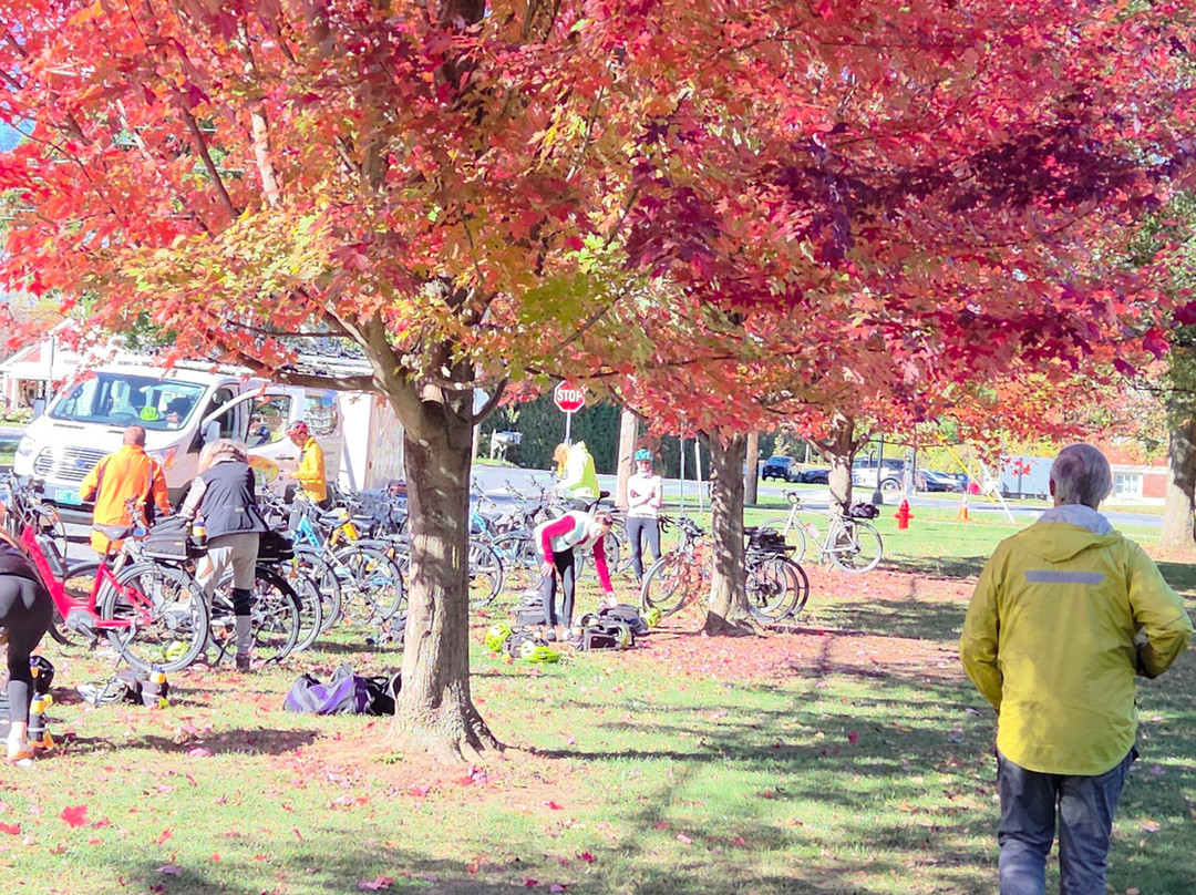Great Bike Tours-谢尔本必去景点