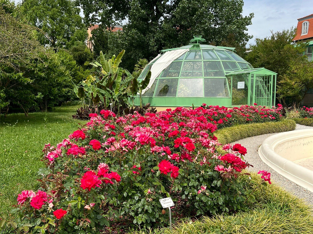 Botanical Garden-萨格勒布必去景点