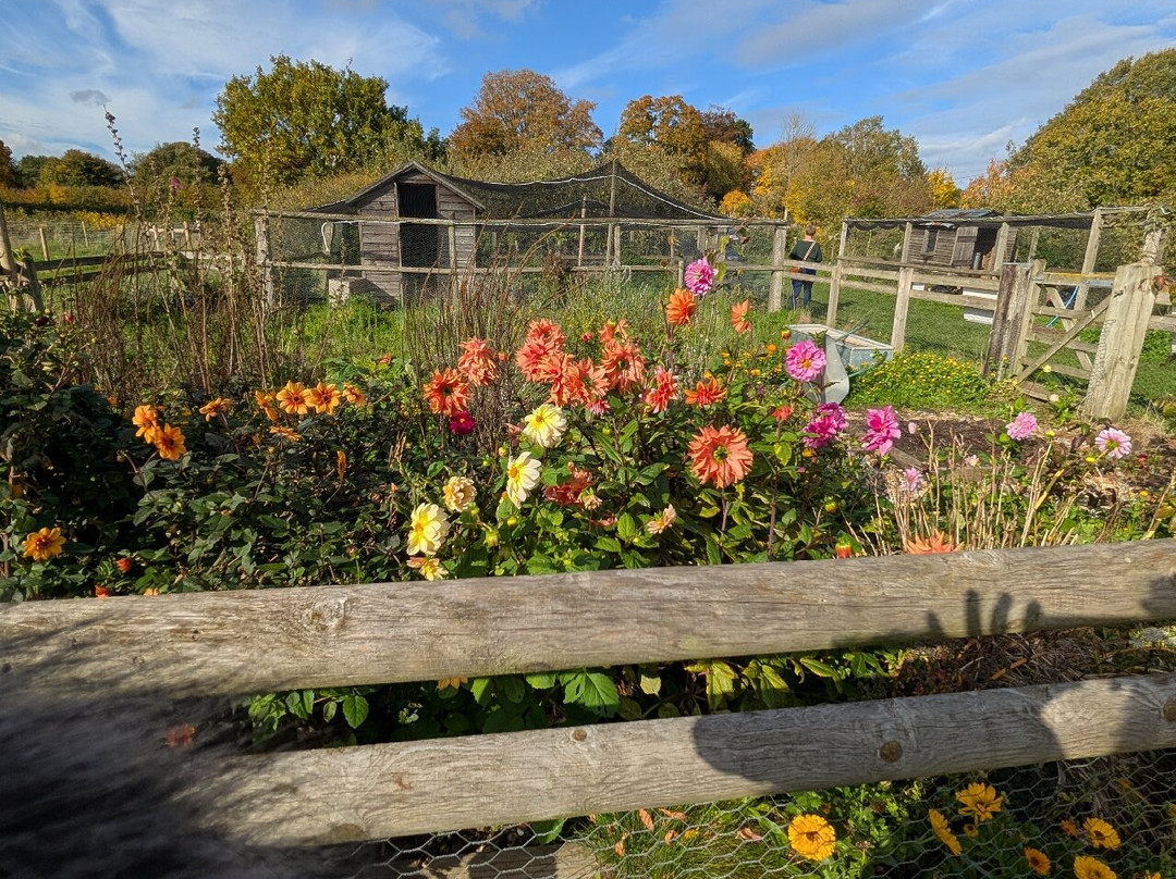 Gressenhall Farm And Workhouse-Dereham必去景点