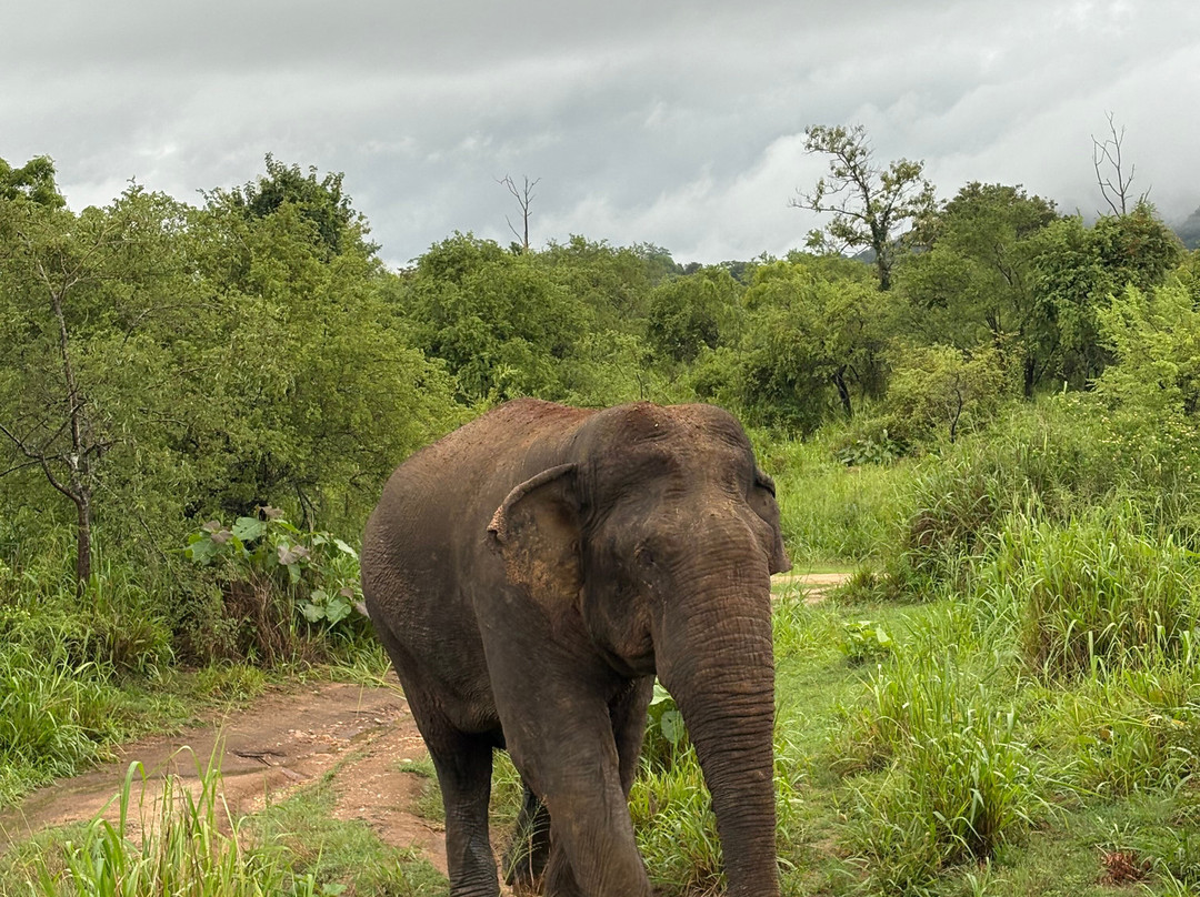 Kalum Jeep Safari-哈巴拉娜必去景点