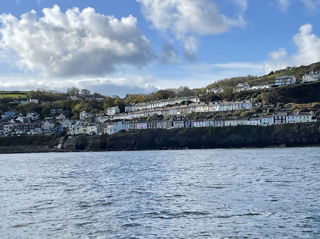 SeaMor Dolphin Watching Boat Trip-纽基必去景点
