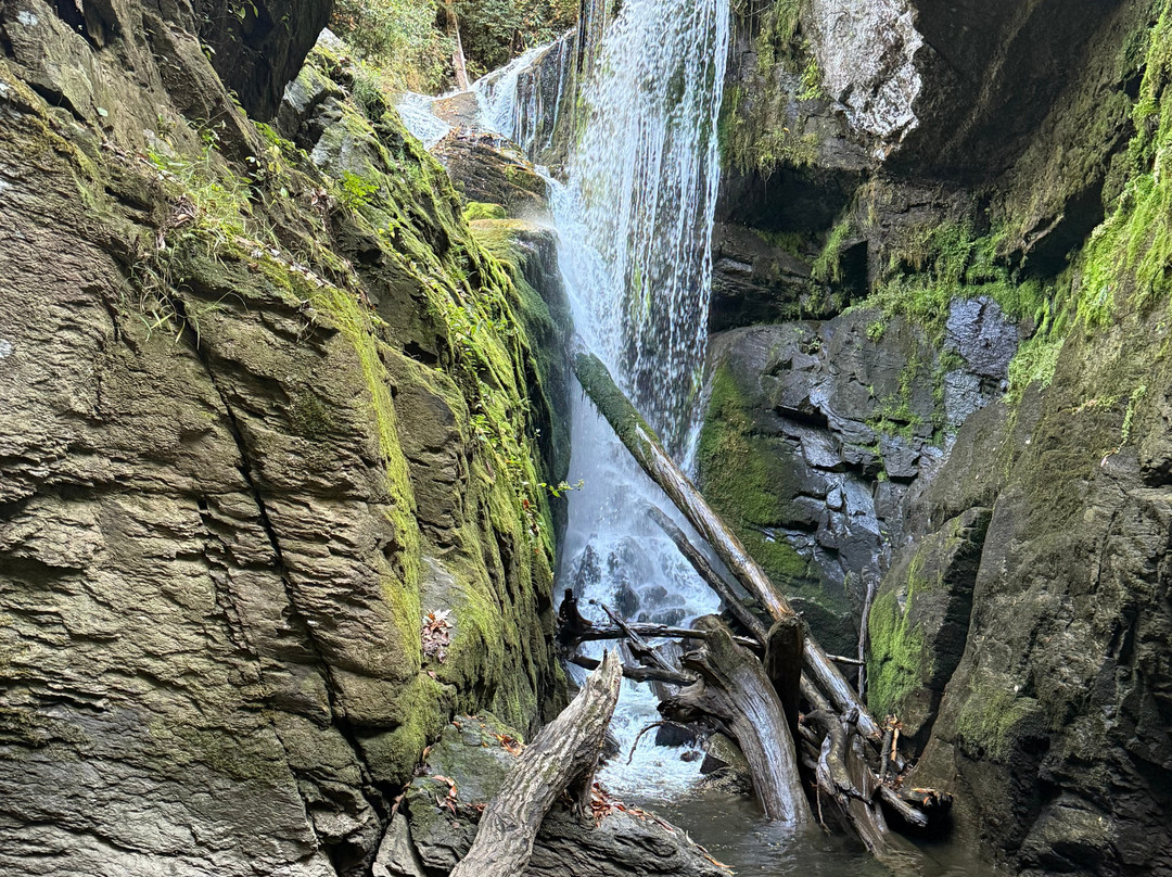 Jocassee Lake Tours-Salem必去景点