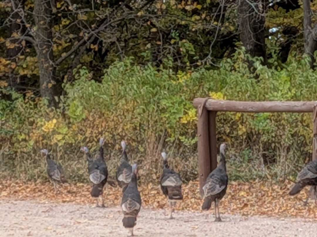 Stone State Park-苏城必去景点