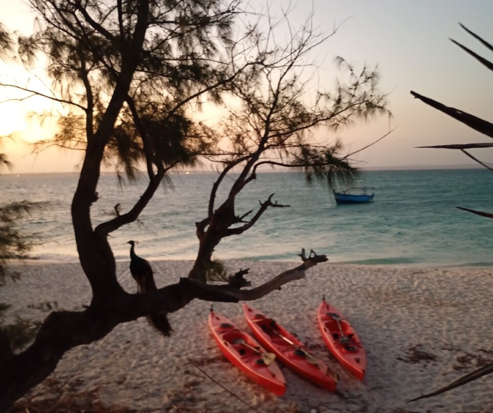 Ilha Blue Island Safaris-莫桑比克岛必去景点