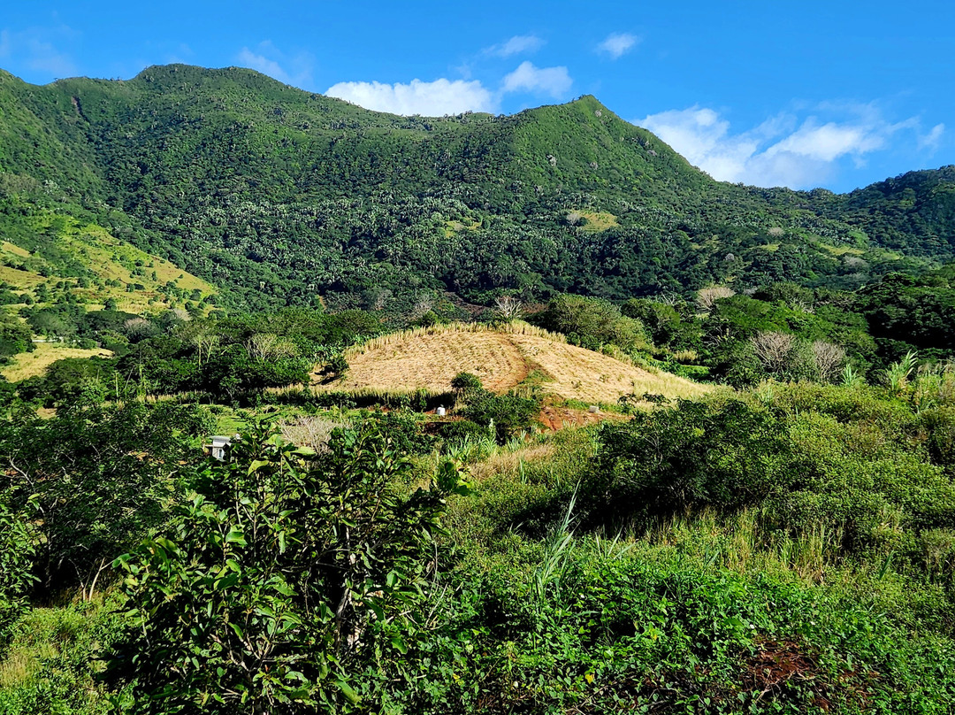 Terganic Farmstay-Bambous Virieux必去景点