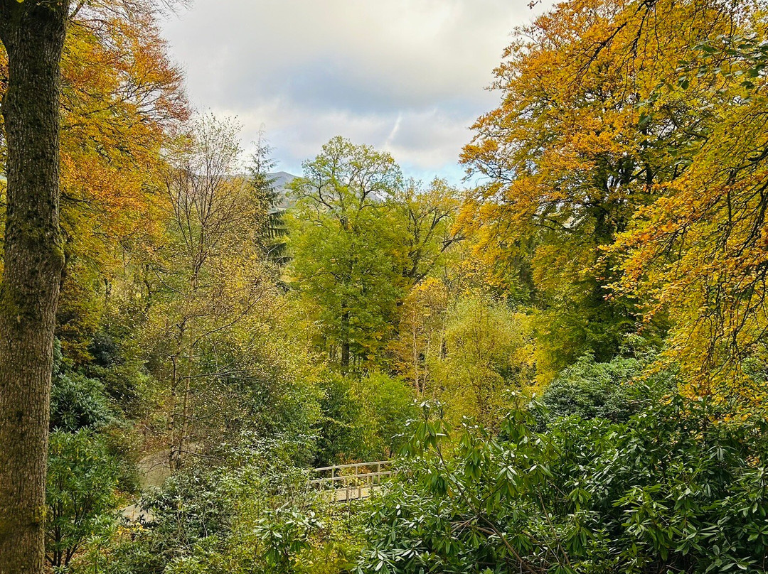Explorers' Garden at Pitlochry Theatre-皮特洛赫里必去景点