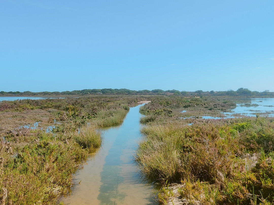 Praia de Cabana-Cabanas必去景点