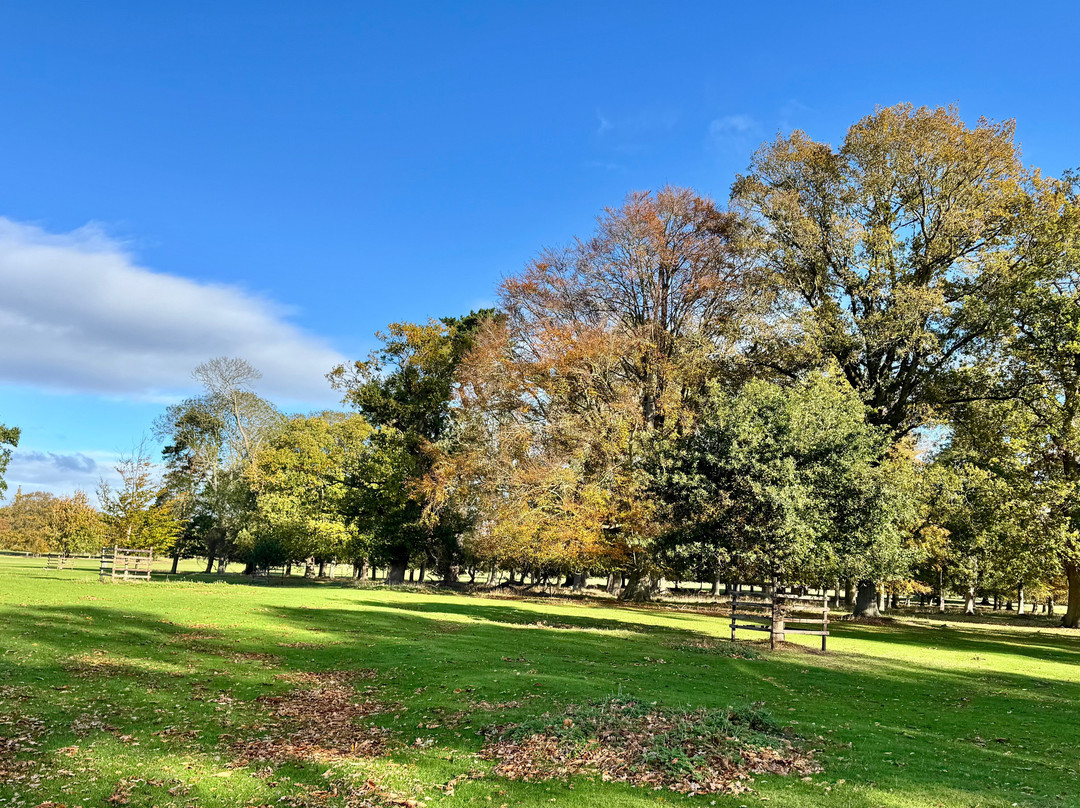 Holkham-Holkham必去景点