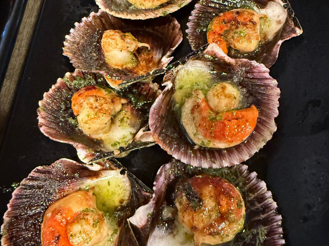 Terracotta Journeys-卡斯凯什必去景点