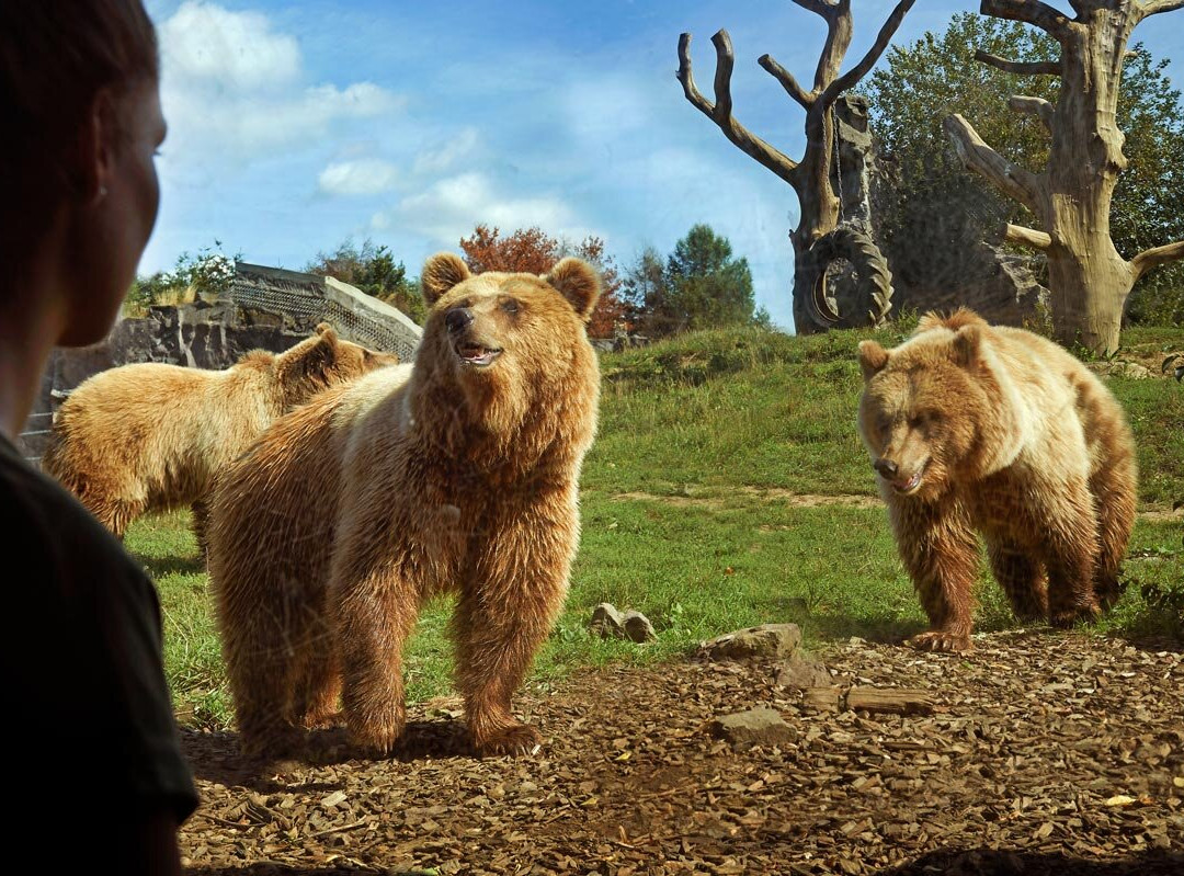 ZOOM Erlebniswelt_Official Site-Gelsenkirchen必去景点