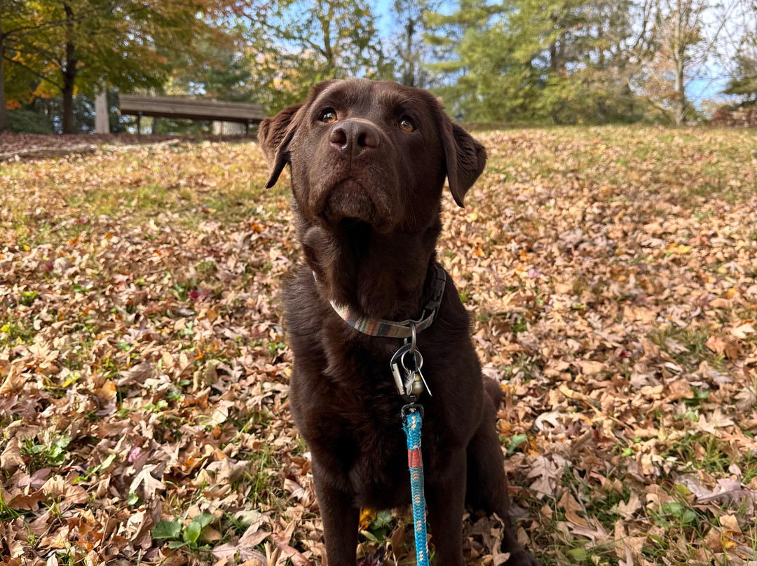 1900 Inn on Montford主图