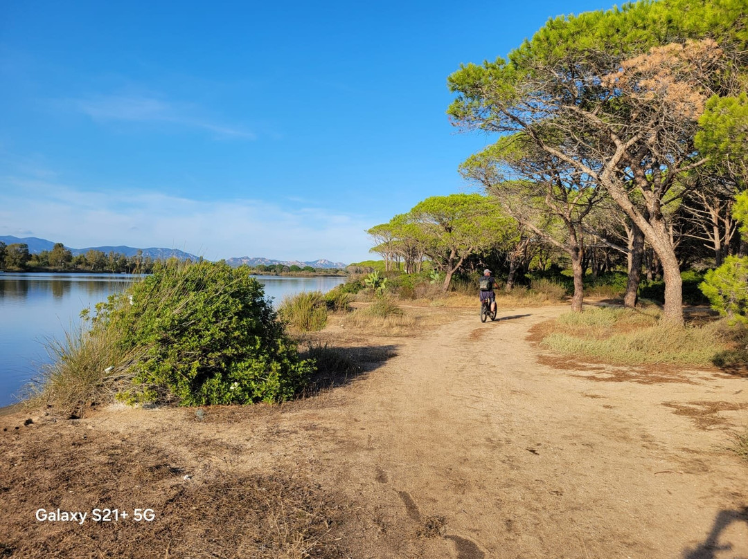 Sardovagando-奥罗塞必去景点