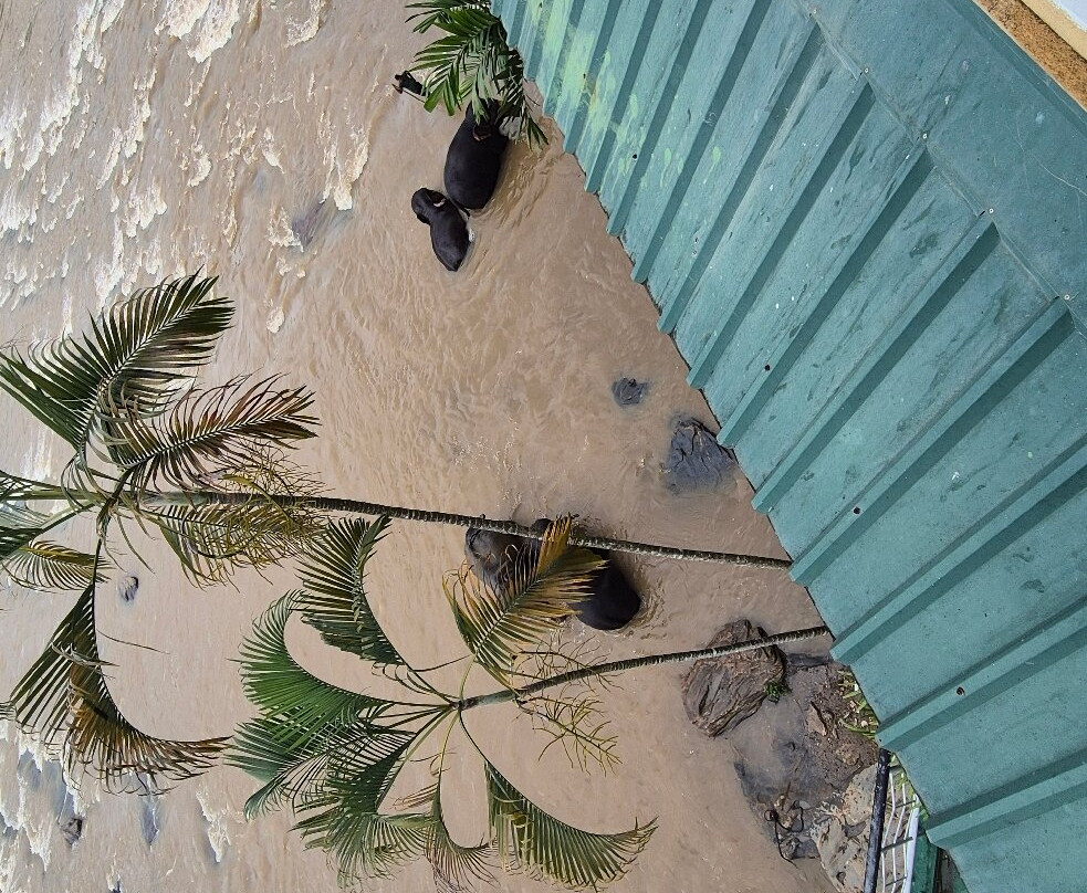 大象公园酒店主图