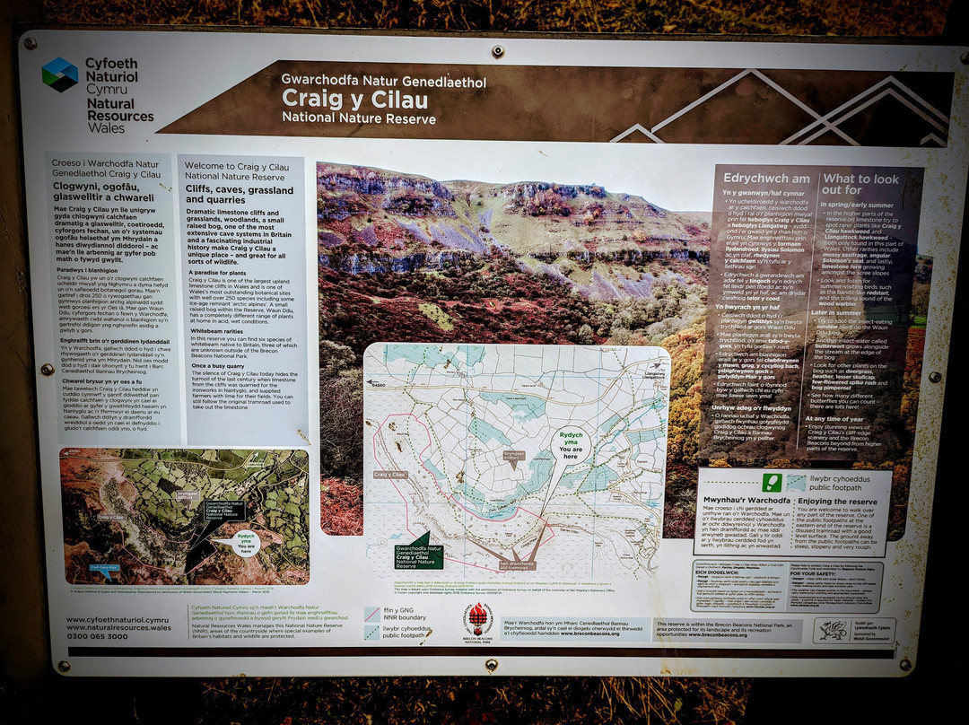 Mill Lodge Brecon Beacons主图