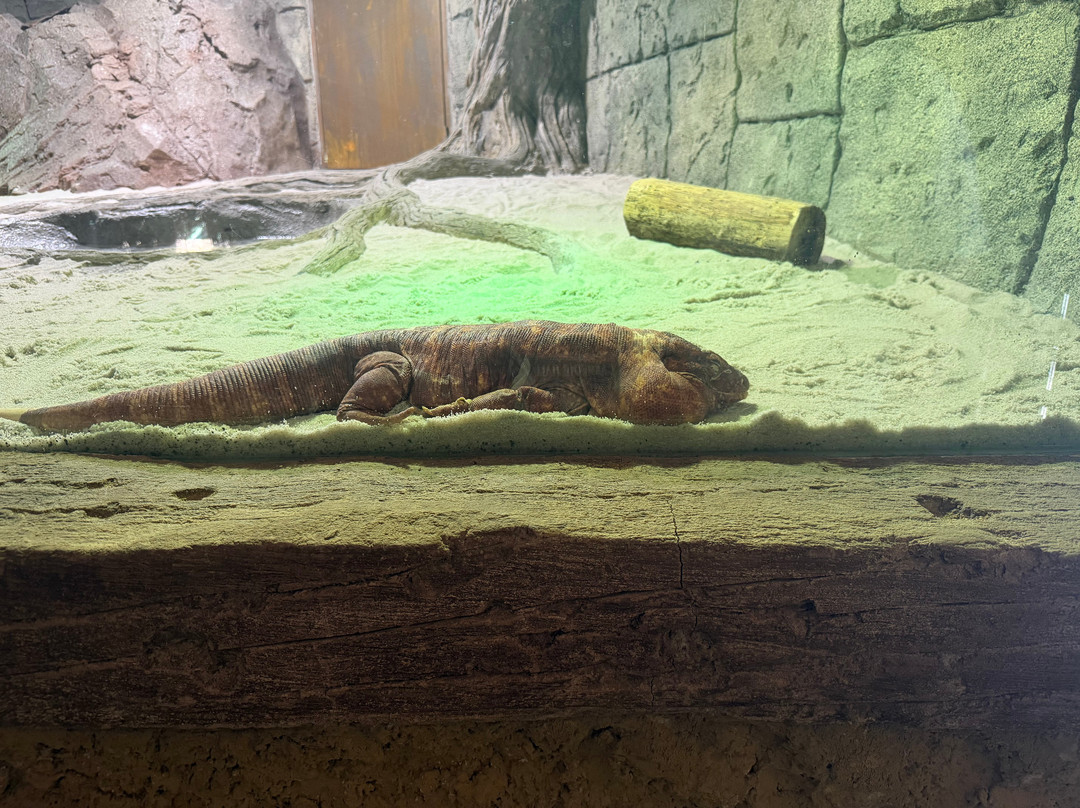 Crocodile Park-托雷莫里诺斯必去景点