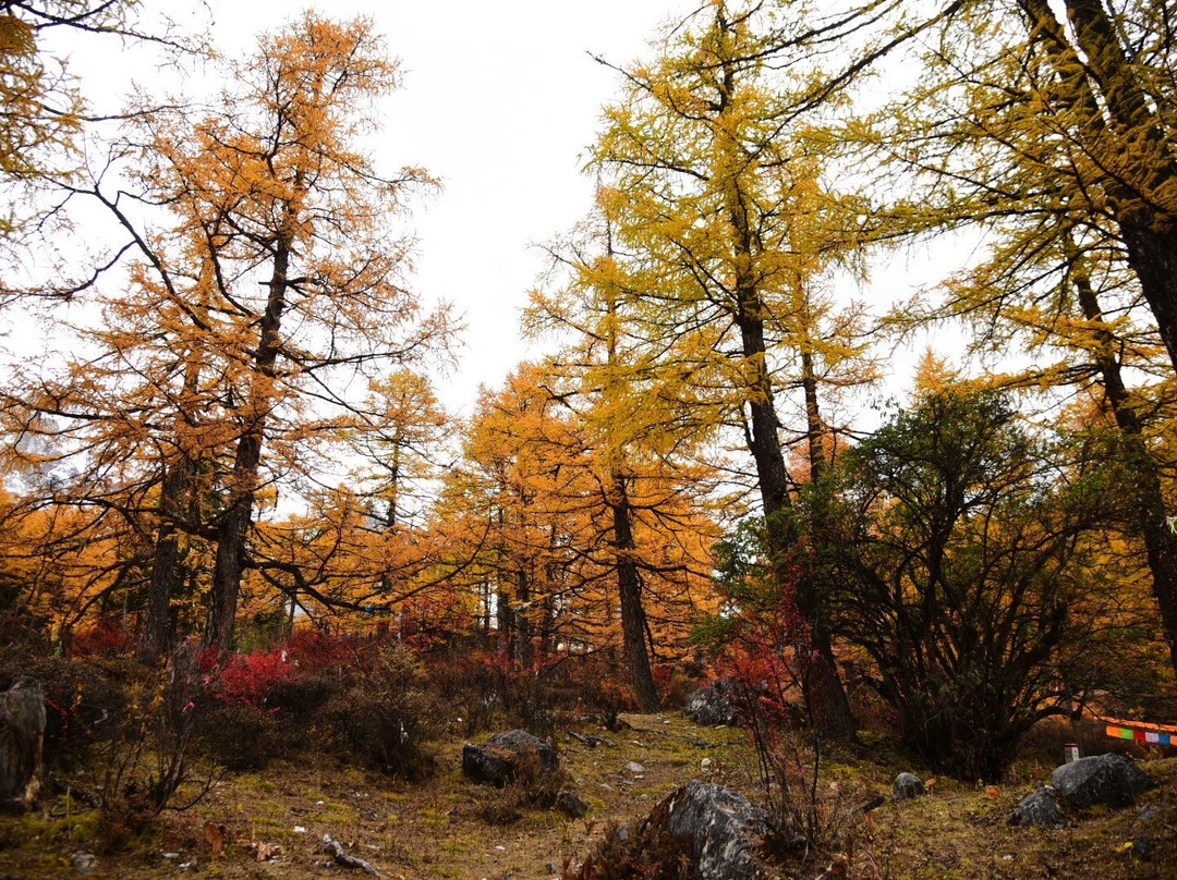 冲古寺-稻城县必去景点