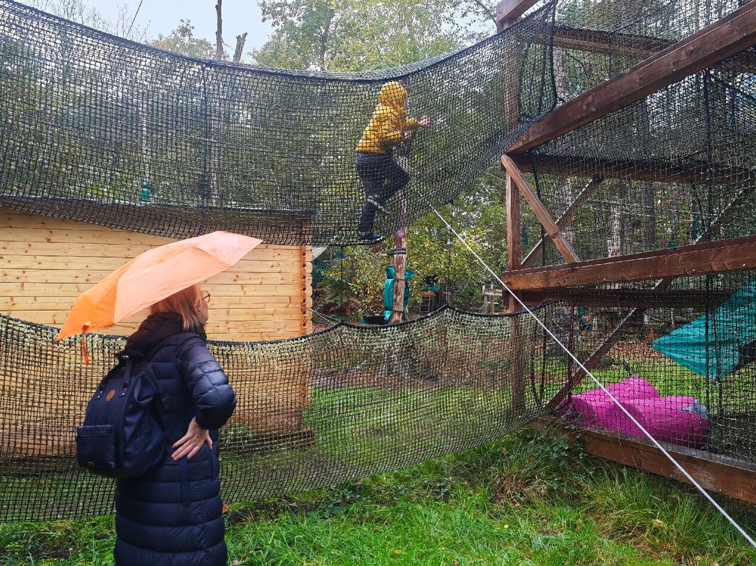 Foret Adrenaline-卡纳克必去景点