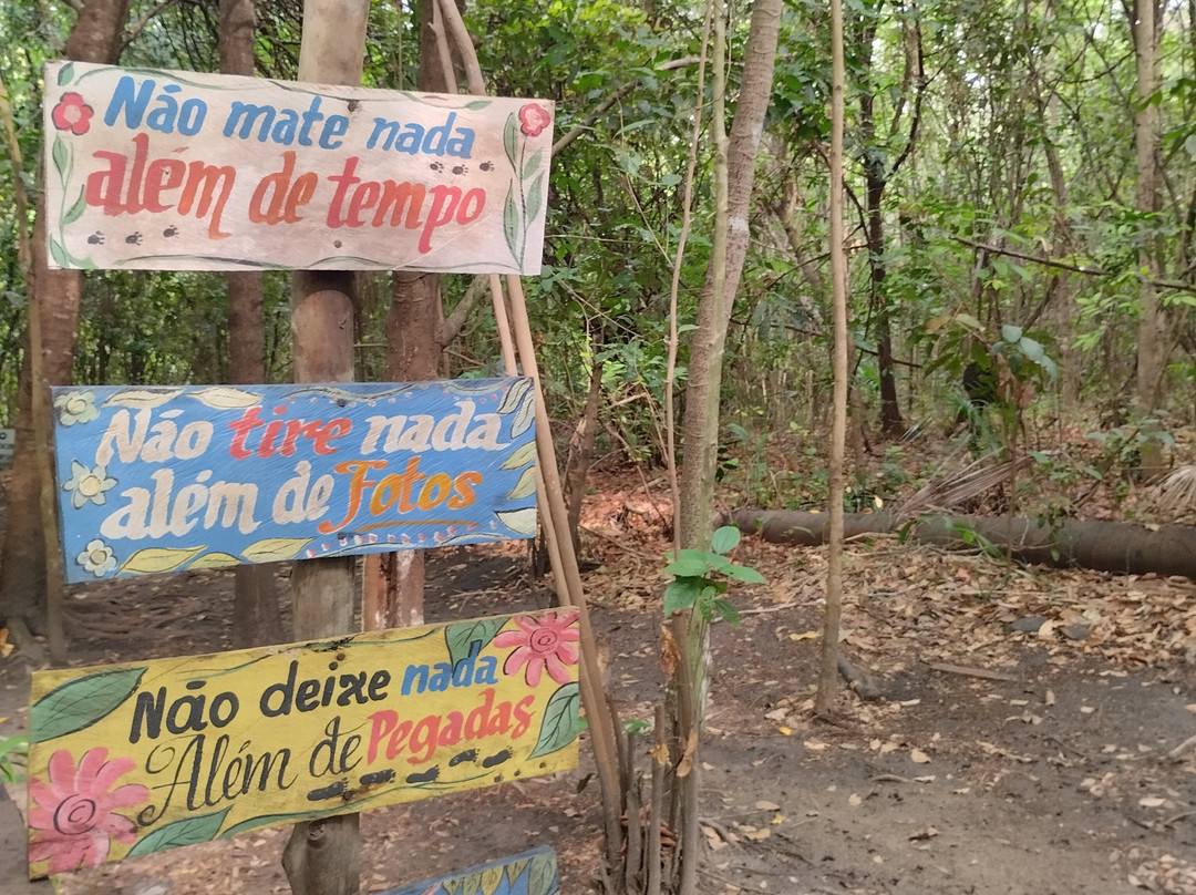 Cenario Nativo Expedicoes-Mateiros必去景点