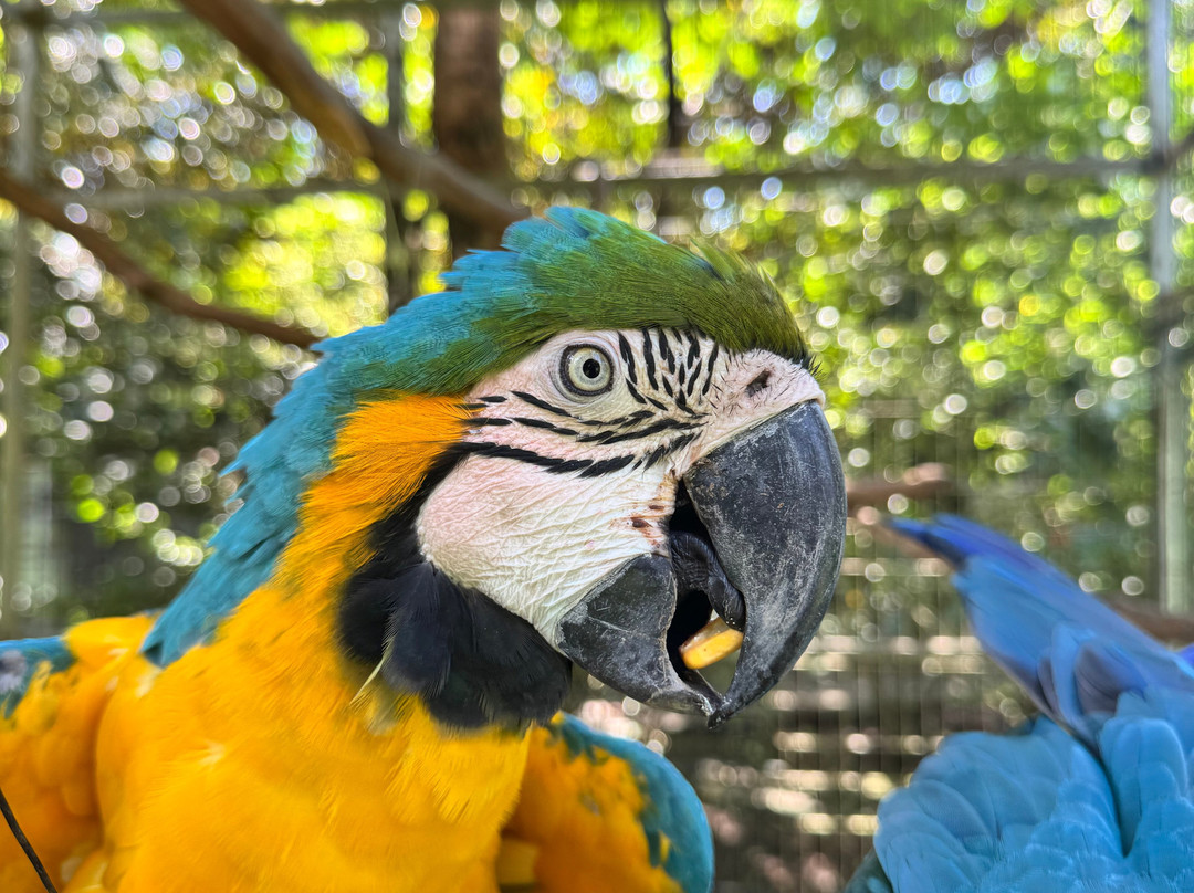 Costa Rica Animal Rescue Center-Turrucares必去景点