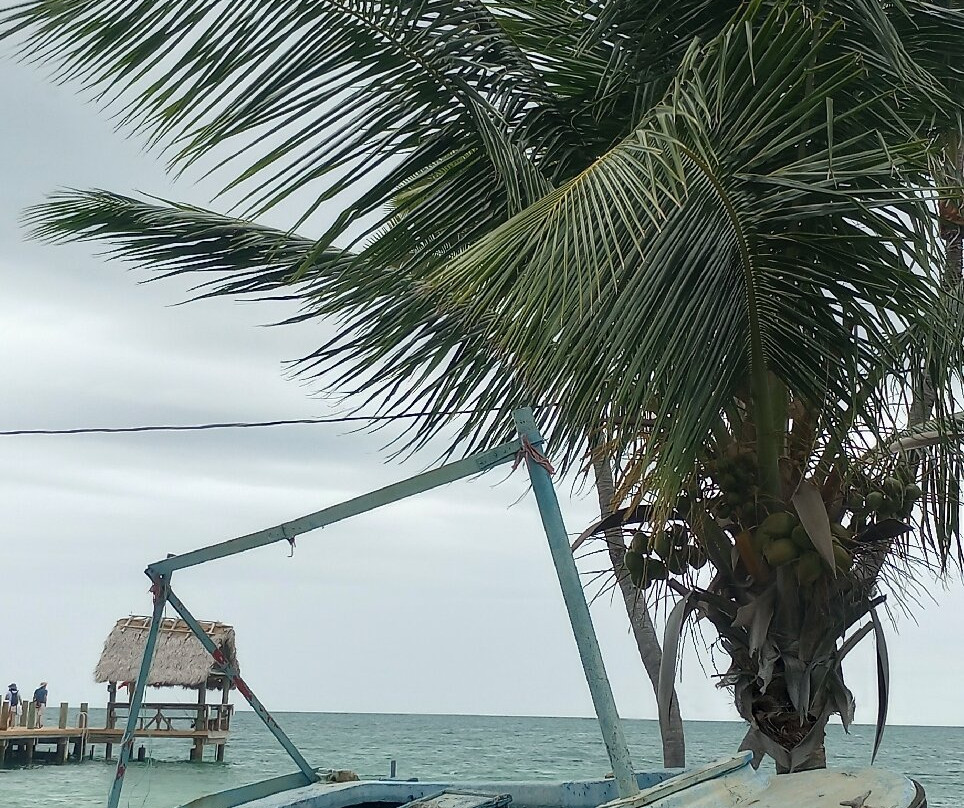 Pigeon Key-马拉松必去景点