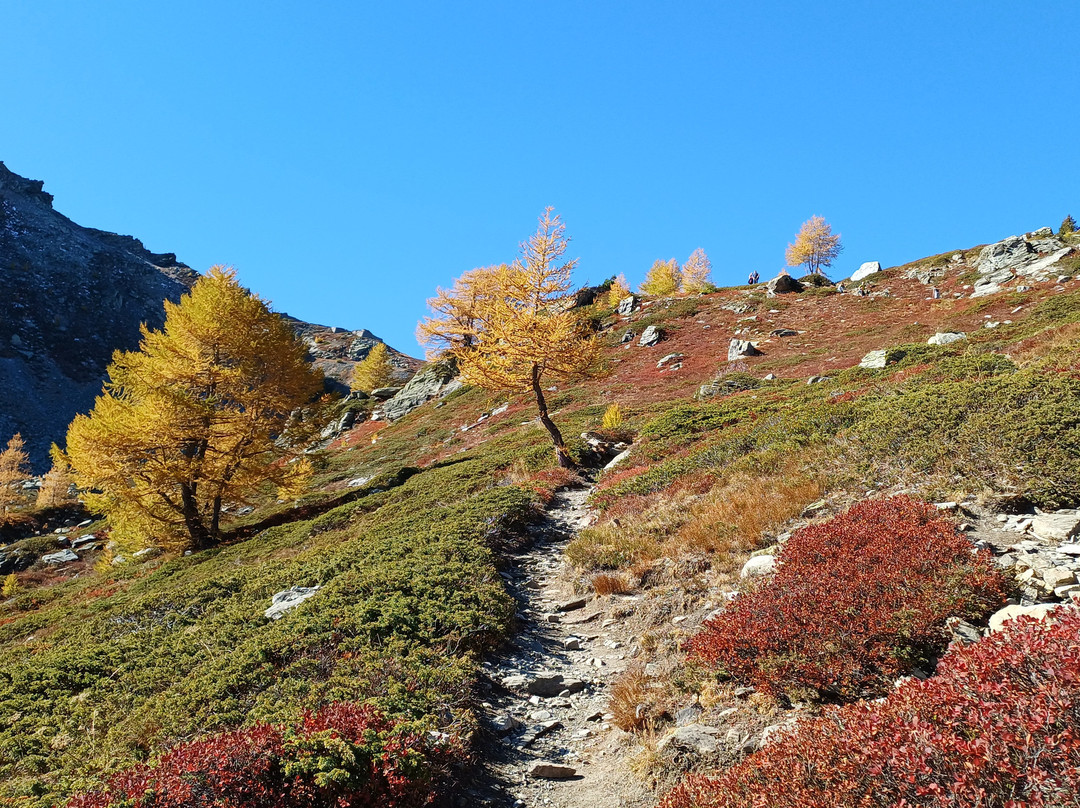 Belvedere d'Arpy-Morgex必去景点