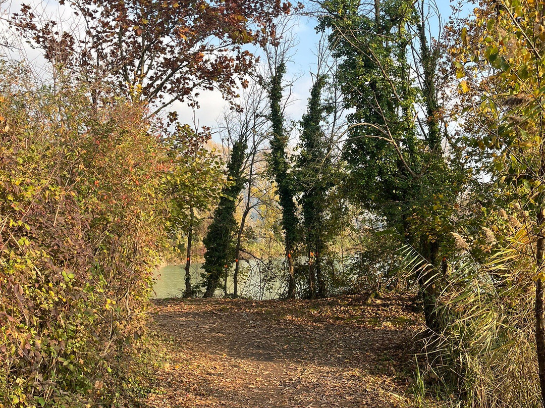 Torbiere del Sebino-Provaglio d'Iseo必去景点