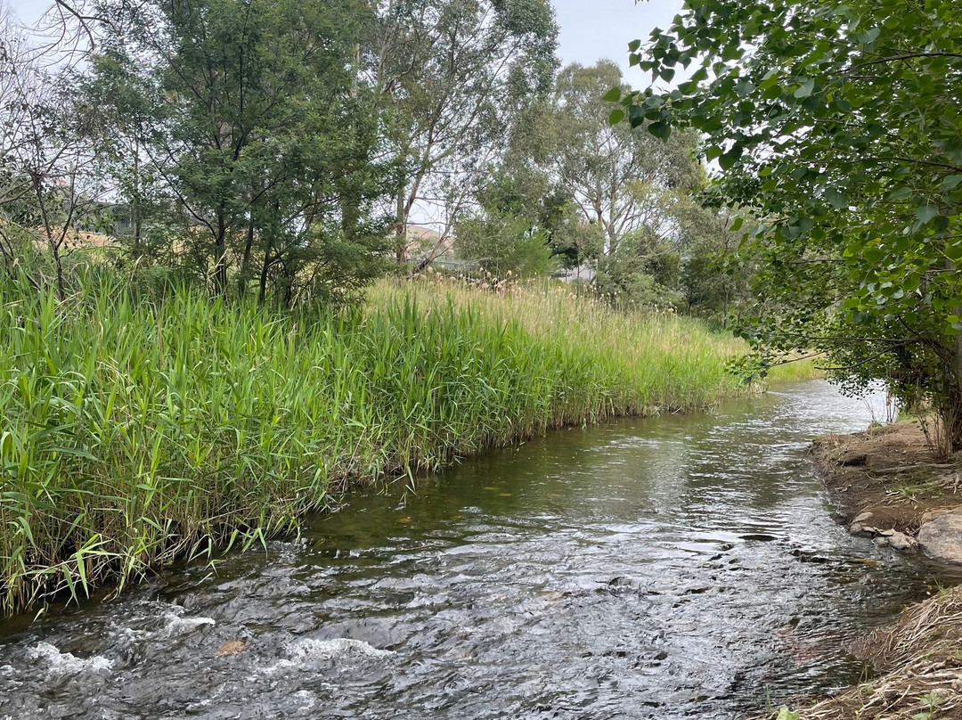 The Creek Playspace-Swifts Creek必去景点