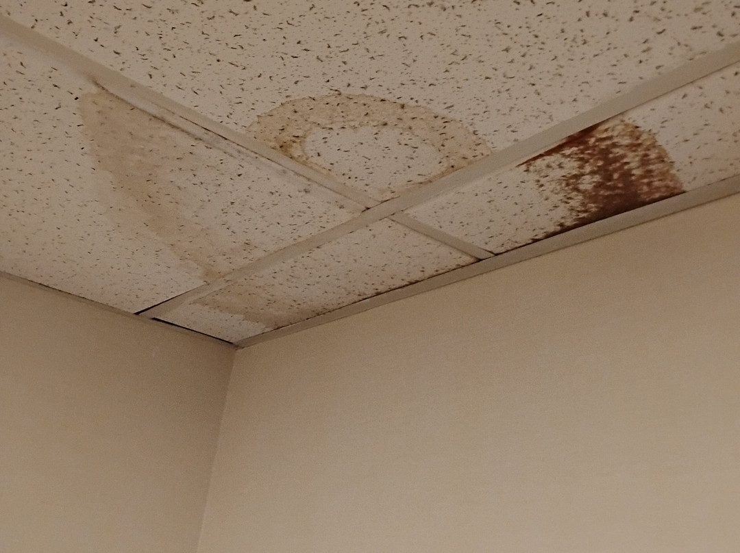 西斯普林菲尔德希尔顿恒庭酒店主图