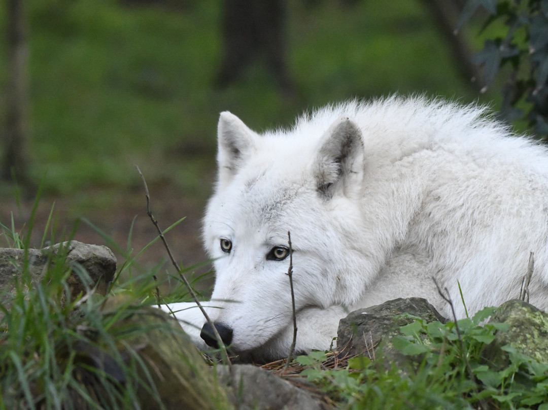 Legendia Parc-Frossay必去景点