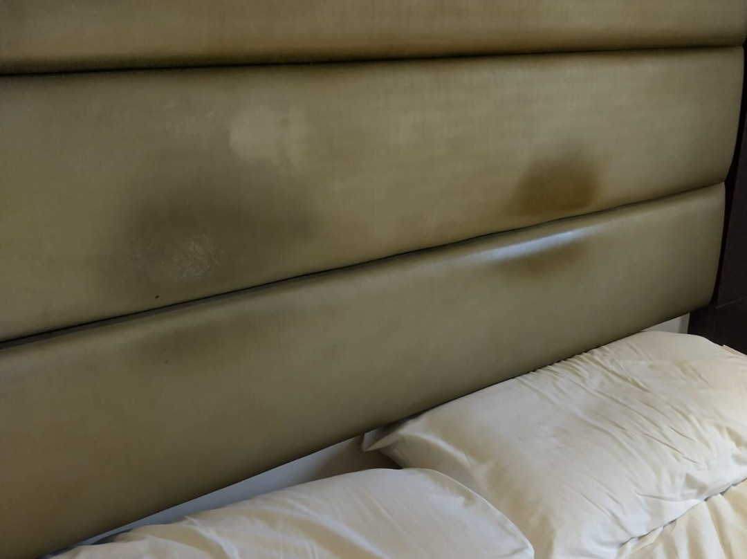 普瑞米尔哈洛酒店主图