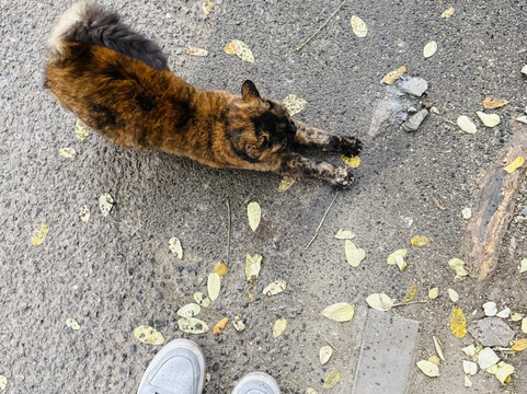 北京什刹海茶艺酒吧街-北京市必去景点