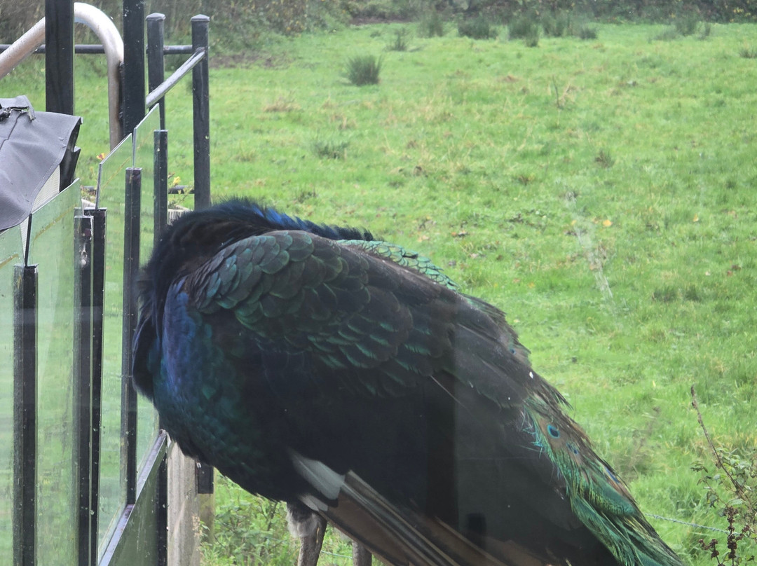 The Elemis Spa at Dunamoy-Ballyclare必去景点