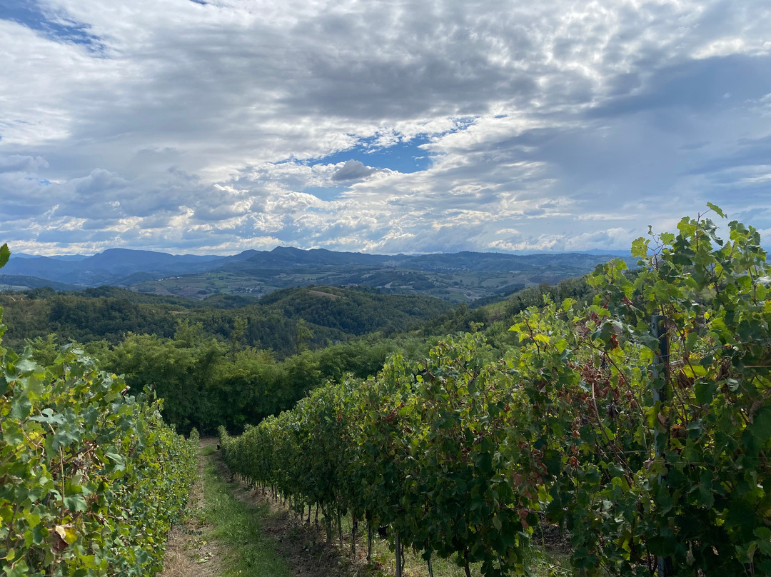 Sassaia Winery-Capriata d'Orba必去景点