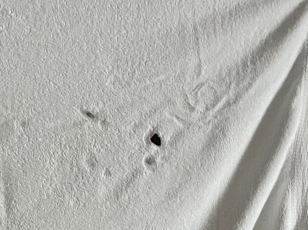 Comfort Suites McKinney主图