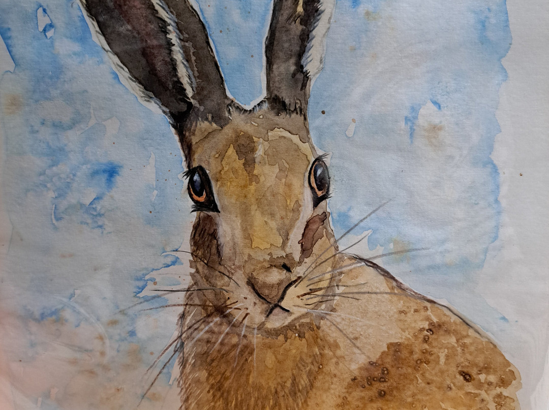 Rebekah Findlay Artist-Bedale必去景点