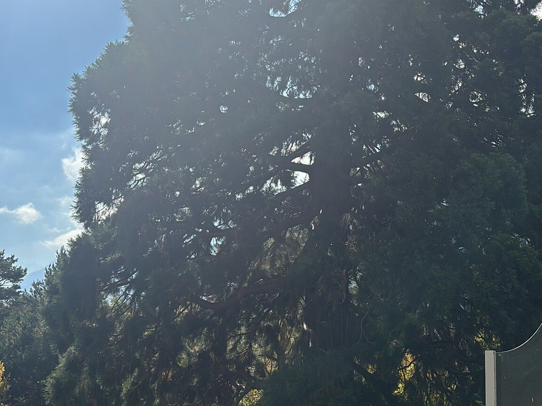 Lavey Les Bains-Lavey-les-Bains必去景点