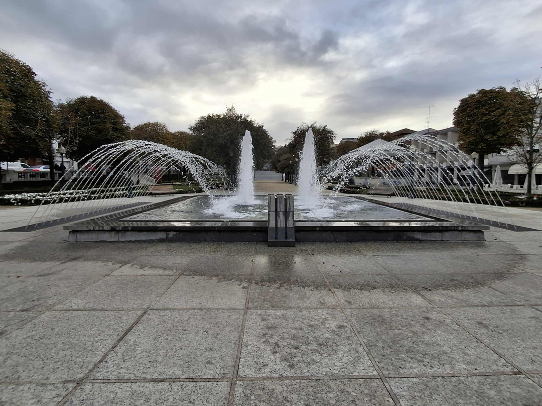 Jardim Público Manuel Faria-Vizela必去景点