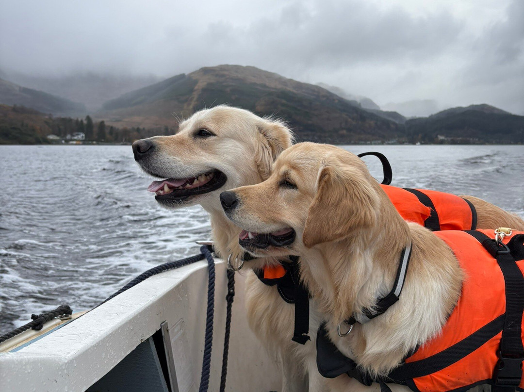 Loch Goil Cruisers-Lochgoilhead必去景点