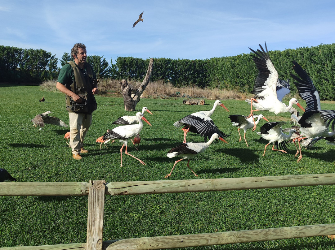 Tierra Rapaz-Calahorra必去景点