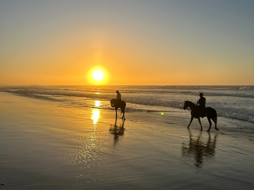 Ranch Des Dunes-达赫拉必去景点