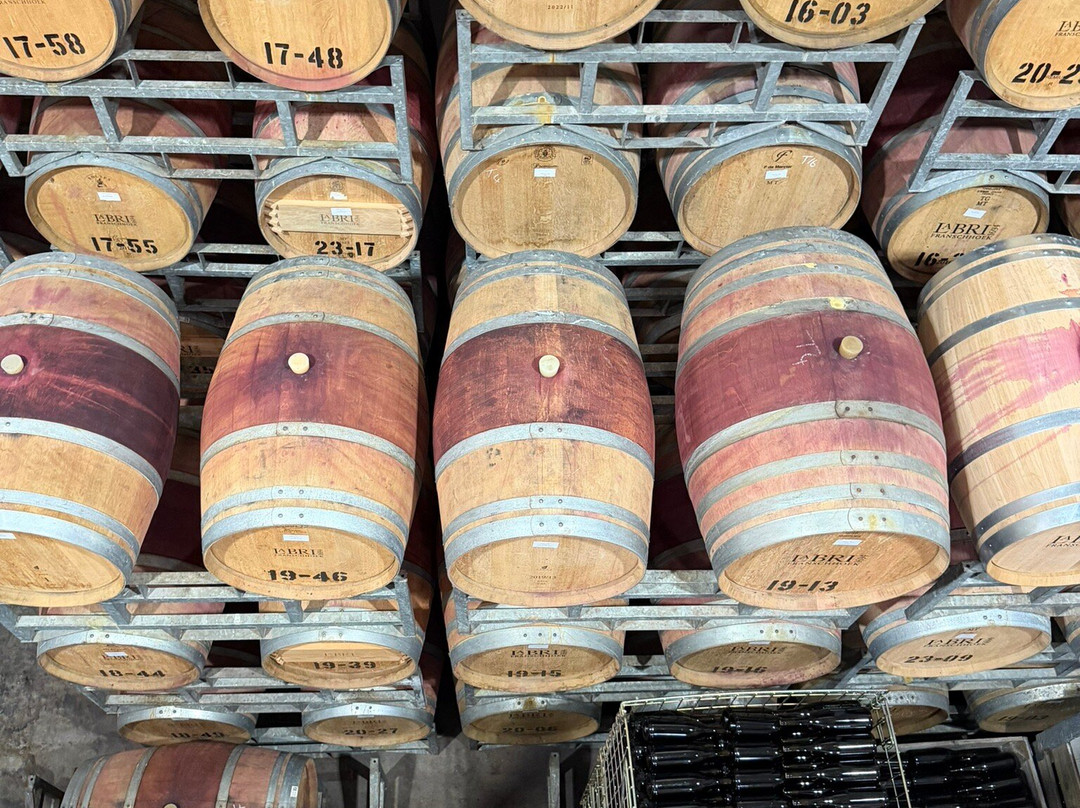 Franschhoek Wine Tram-法兰舒克必去景点