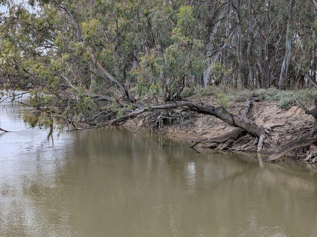 Pioneer Settlement-Swan Hill必去景点