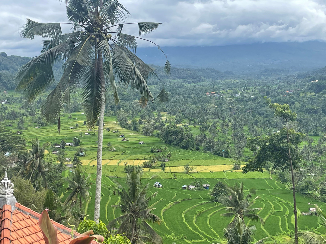 Kapha Spa-席德门必去景点