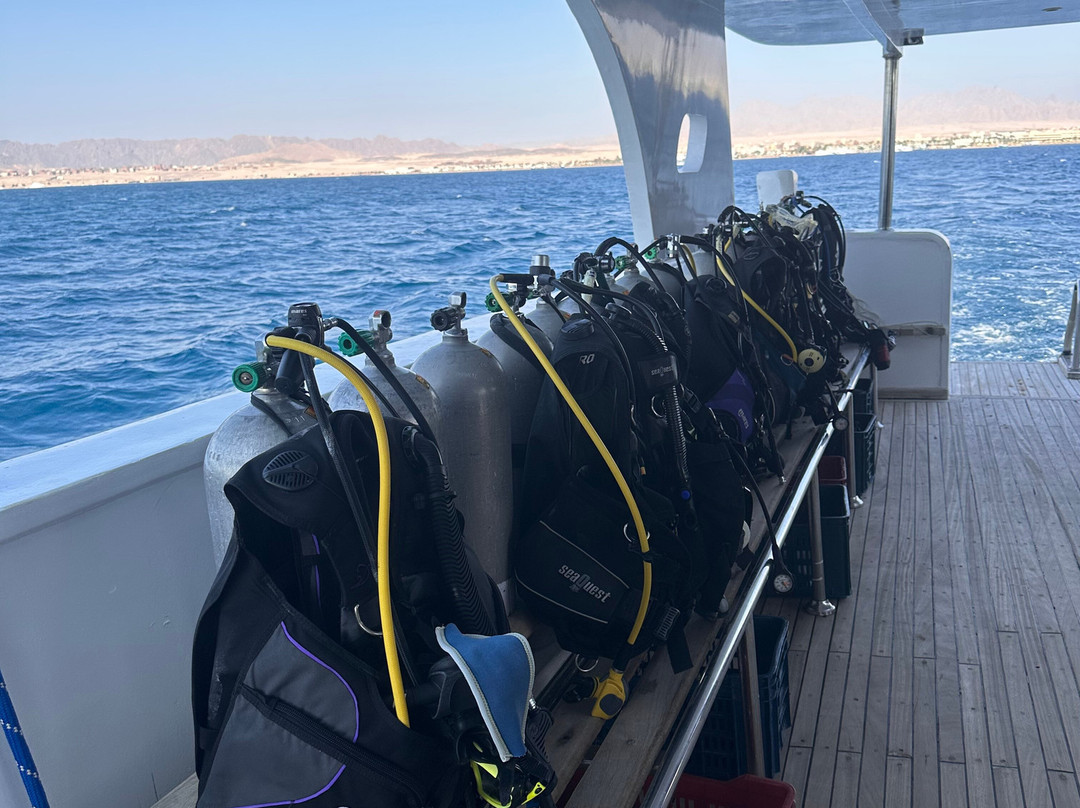 Shams Diving Center-Safaga必去景点