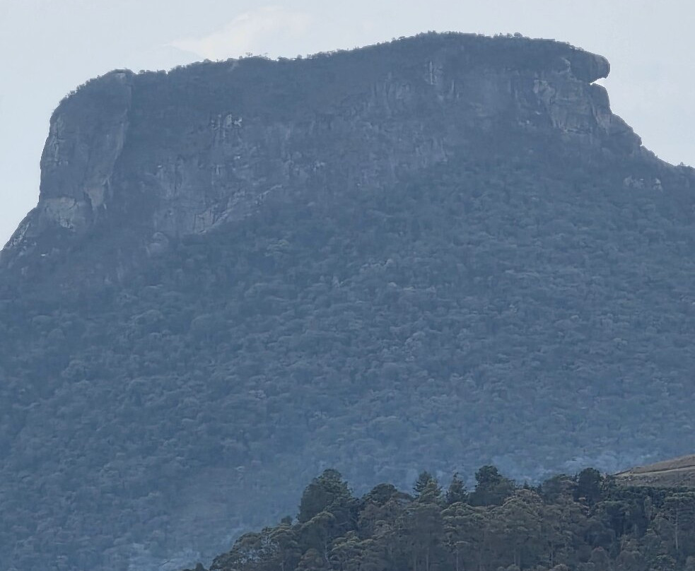 Museu Felícia Leirner-坎普斯－杜若尔当必去景点