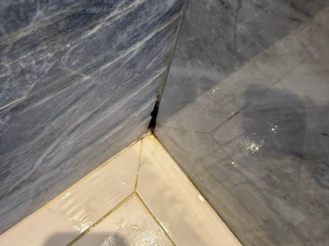 Rivage Hôtel & Spa Annecy主图